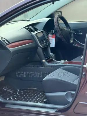 Toyota Premio 2010 Black