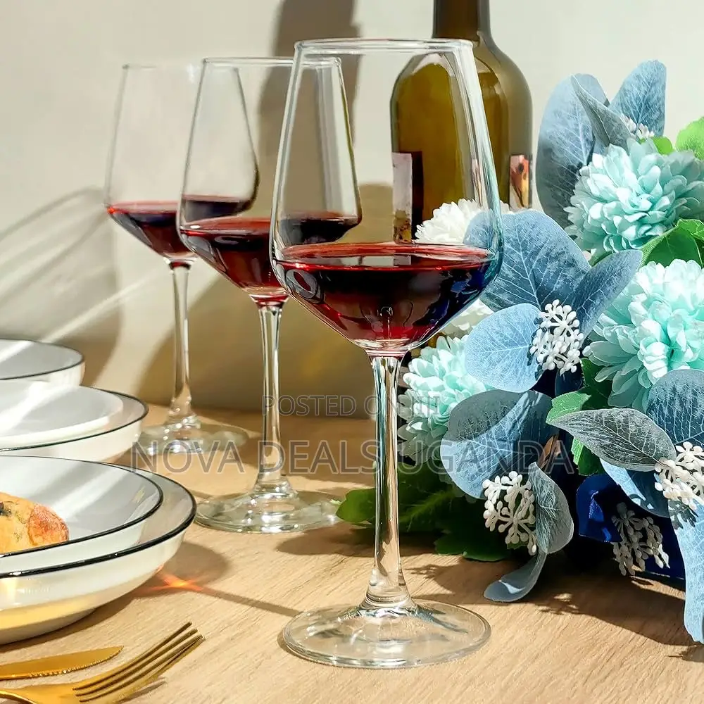 Long Stem Wine Glasses Set of 6, Red/White Wine Glasses,