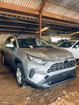 Toyota RAV4 2019 Silver