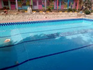 Pavers Swimming