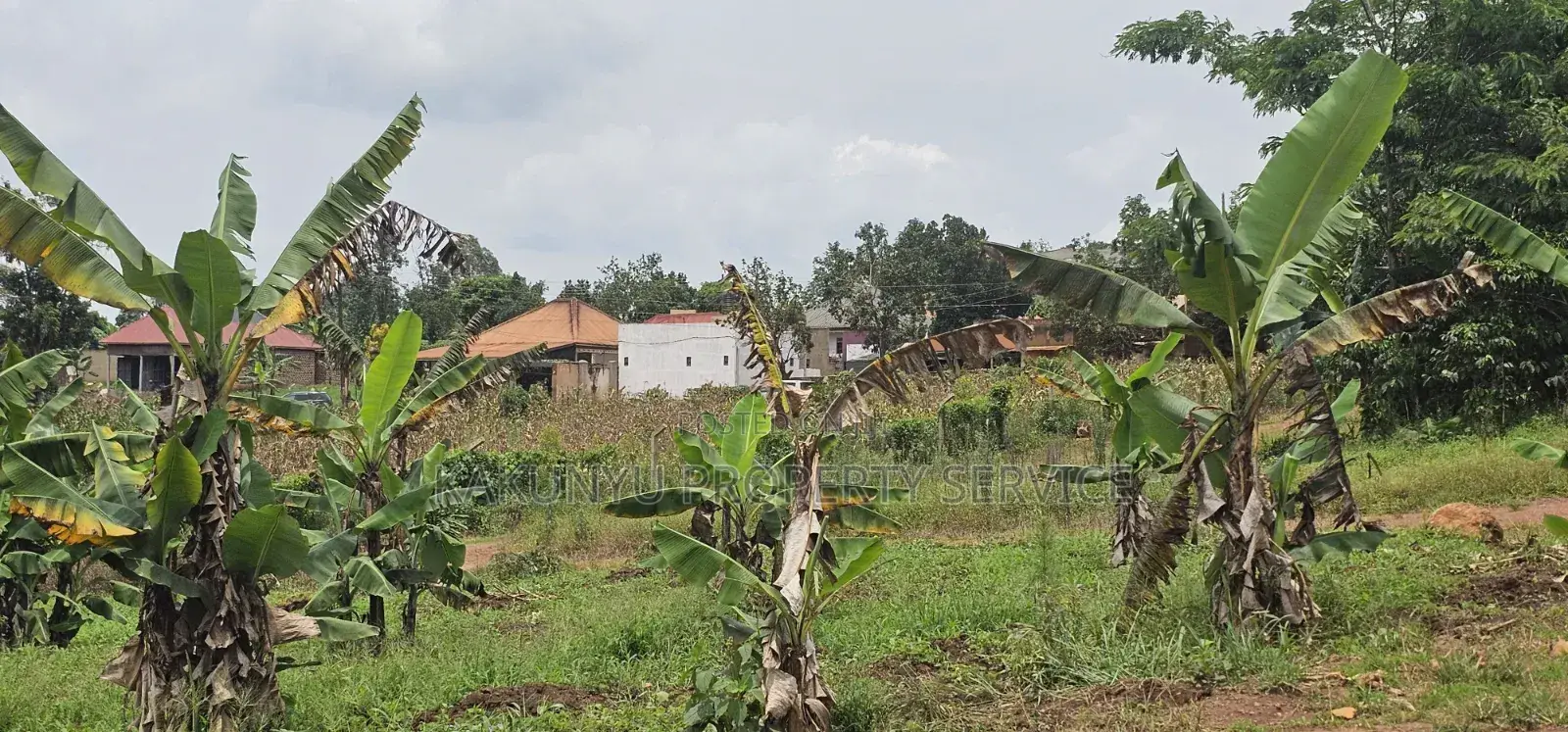 Bukalango Mt Zion Estate