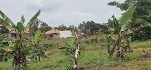 Bukalango Mt Zion Estate