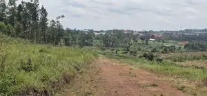 Bukalango Mt Zion Estate