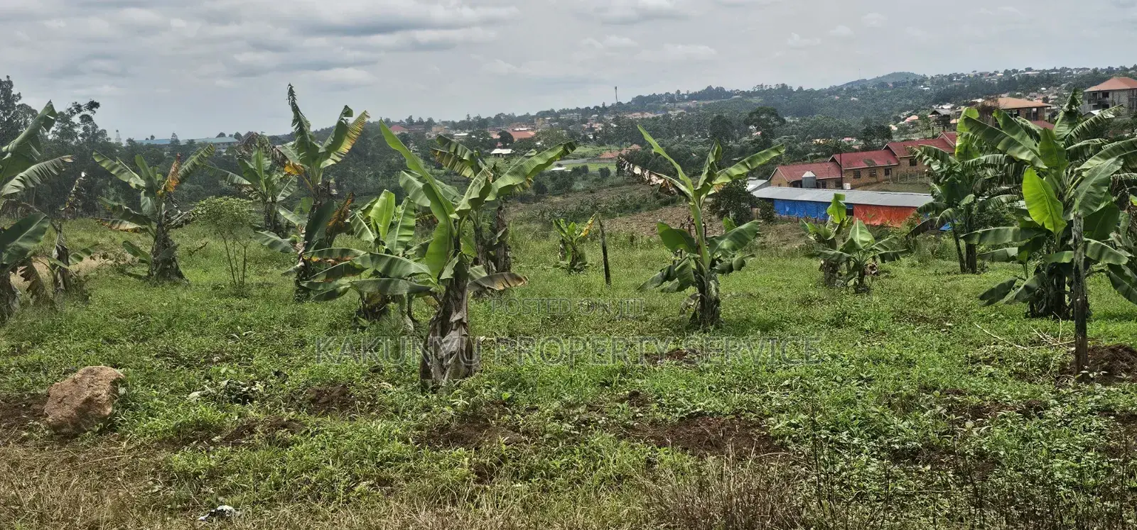 Bukalango Mt Zion Estate