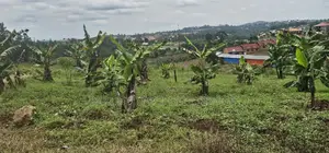 Bukalango Mt Zion Estate