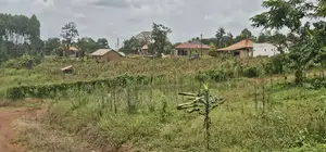 Bukalango Mt Zion Estate