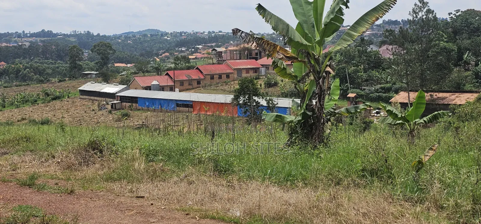 Bukalango Mt Zion Estate
