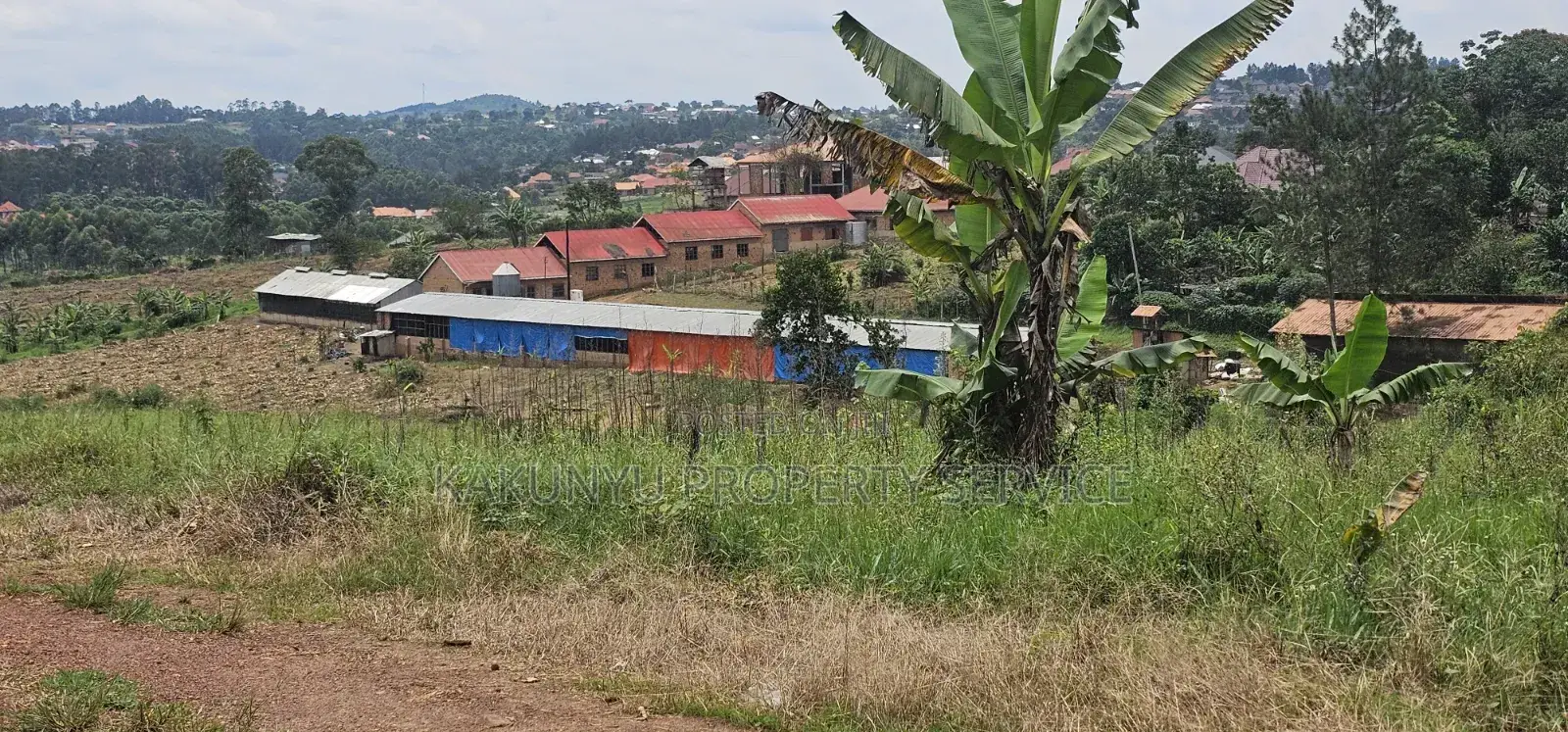 Bukalango Mt Zion Estate