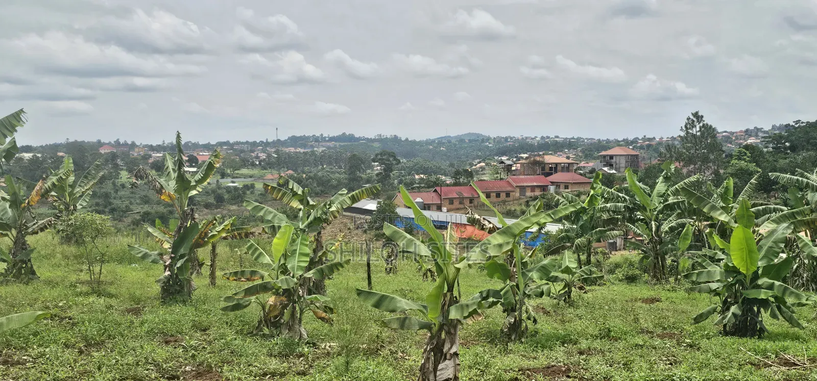 Bukalango Mt Zion Estate