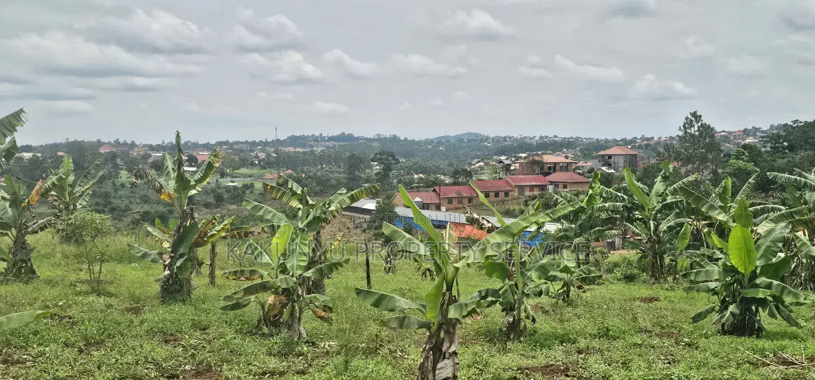 Bukalango Mt Zion Estate