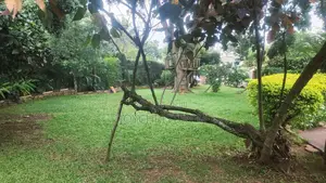 4bdrm Bungalow in Kiwafu Estate, Makindye for rent
