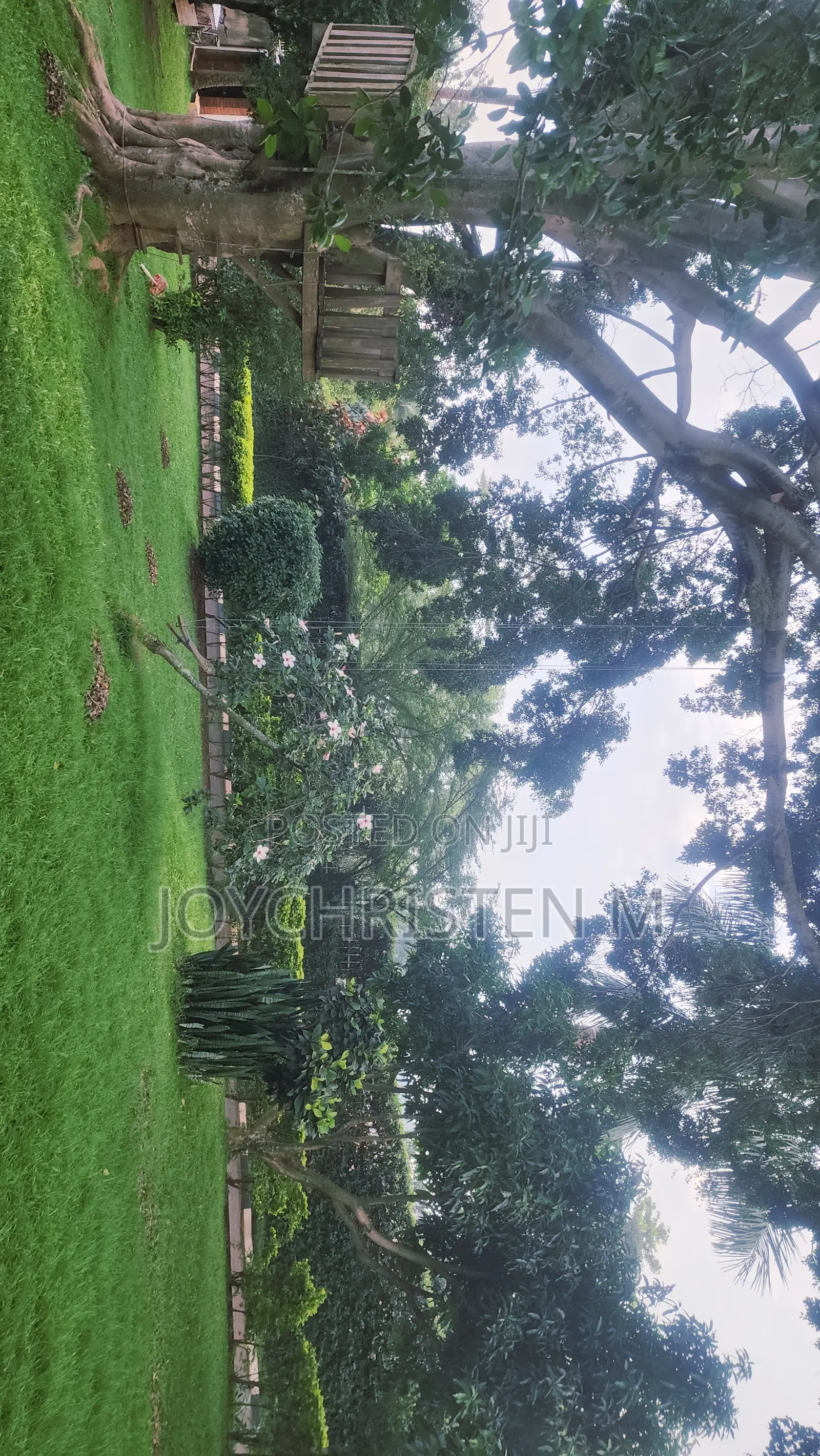 4bdrm Bungalow in Kiwafu Estate, Makindye for rent