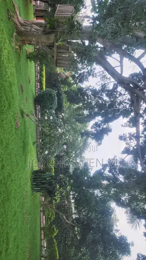 4bdrm Bungalow in Kiwafu Estate, Makindye for rent