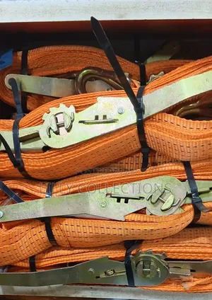 Cargo Belt