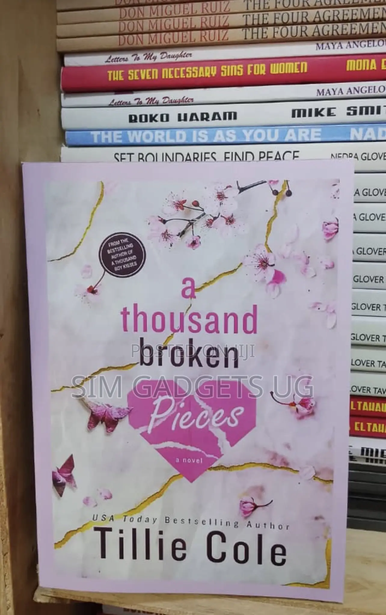 A Thousand Broken Pieces.