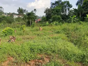 Plots For Sale Nabusugwe 50x100 Ft