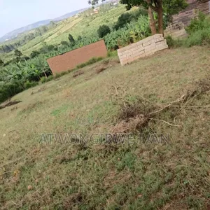 Plot For Sell 50 By 100