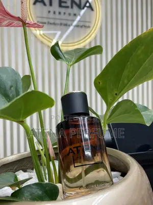 Atena Signature Collection Men 100ml – Luxury Fragrance Kampala