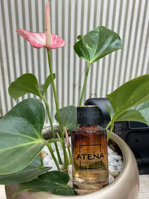 Luxury Men’S Perfume 100ml Kampala | Long Lasting Premium Fragrance