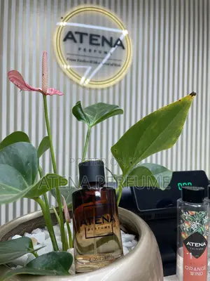 Luxury Men’S Perfume 100ml Kampala | Long Lasting Premium Fragrance