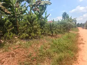 Coffee Matooke Plantation on Quick Sale – Mukono, Nakifuma