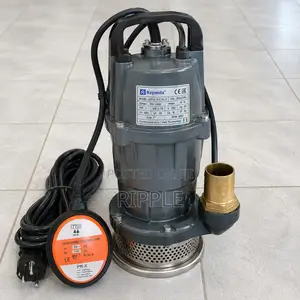 750w Ac Submersible Clean Water Pump 19m Head 21000l/H