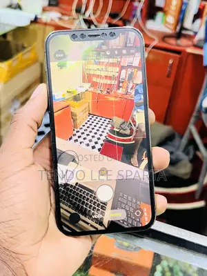 Apple iPhone 12 Pro 256 GB Gray
