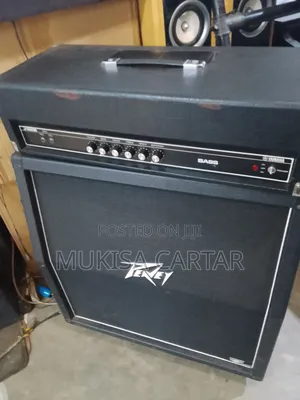 Peavey Combo Bass