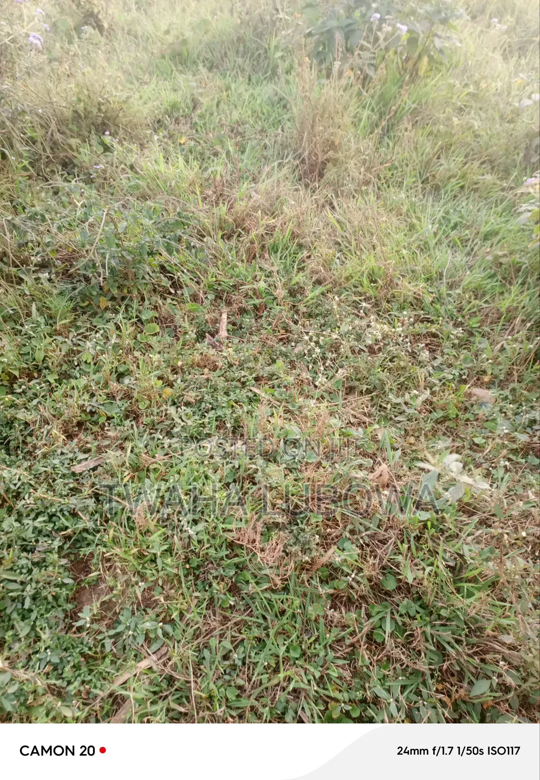 Land for Sale at Kololo Nakirbe
