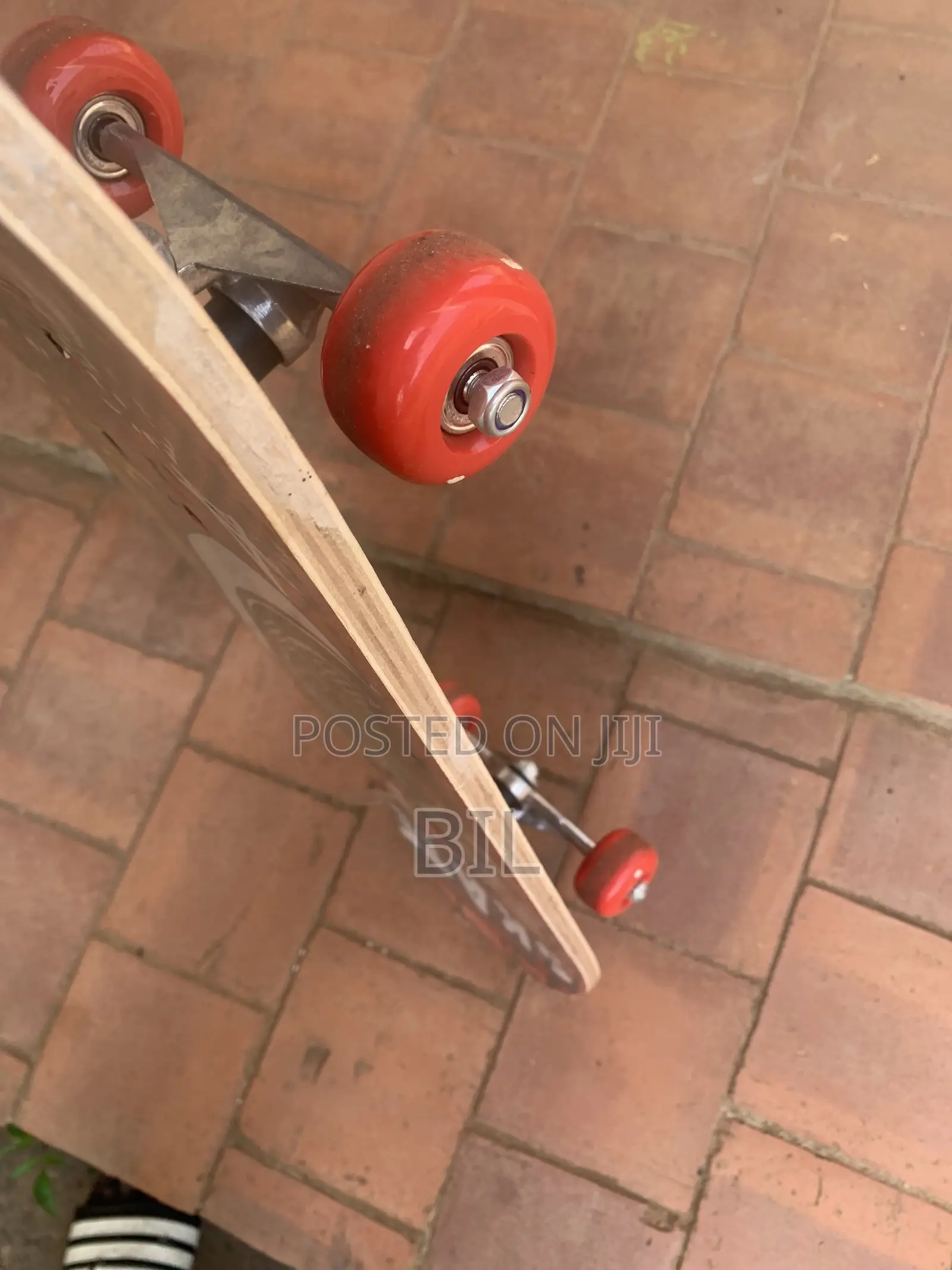 Skate Board