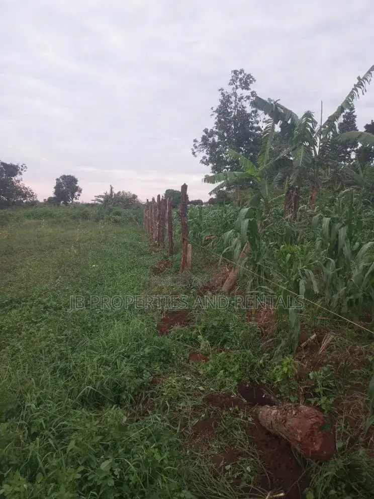 Land for Sale at Kasanje Ziba Road Size 1/5 Acres