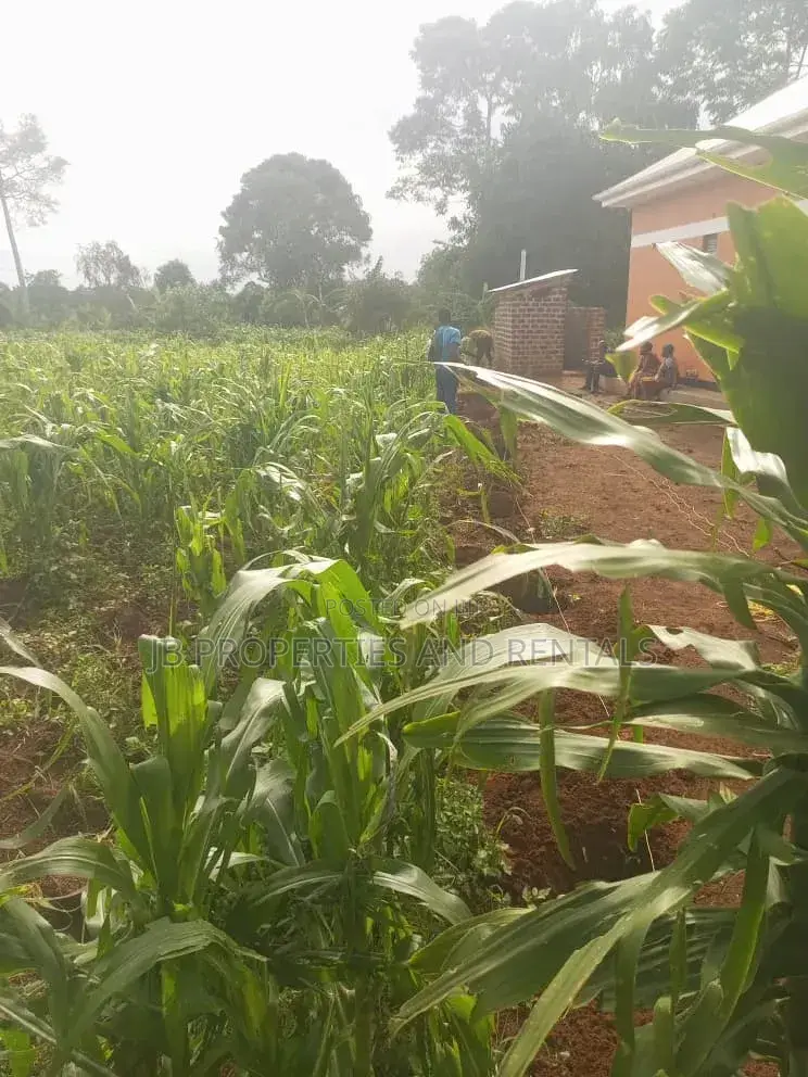 Land for Sale at Kasanje Ziba Road Size 1/5 Acres