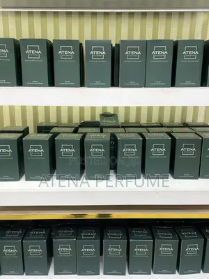 Luxury Car Perfume Diffuser Uganda | Rechargeable Smart Air Freshener