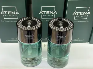 Luxury Car Perfume Diffuser Uganda | Rechargeable Smart Air Freshener