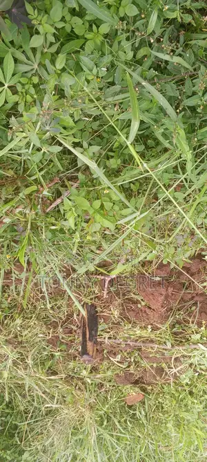 Plot for Sale