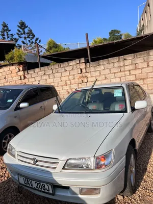 Toyota Corona Premio 2001 Gray