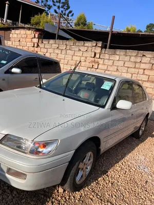 Toyota Corona Premio 2001 Gray