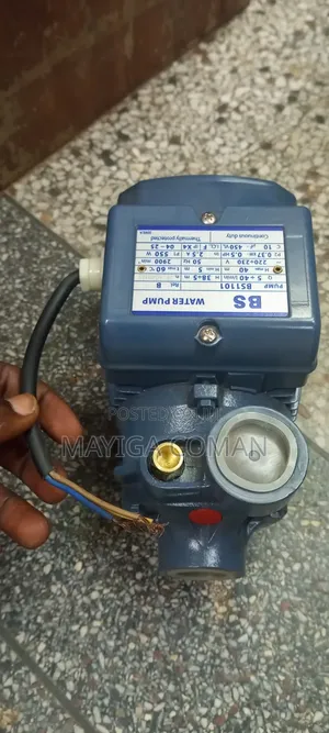 Surface Water Pump