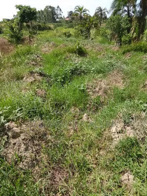 2 Acres in Buyala for Sale