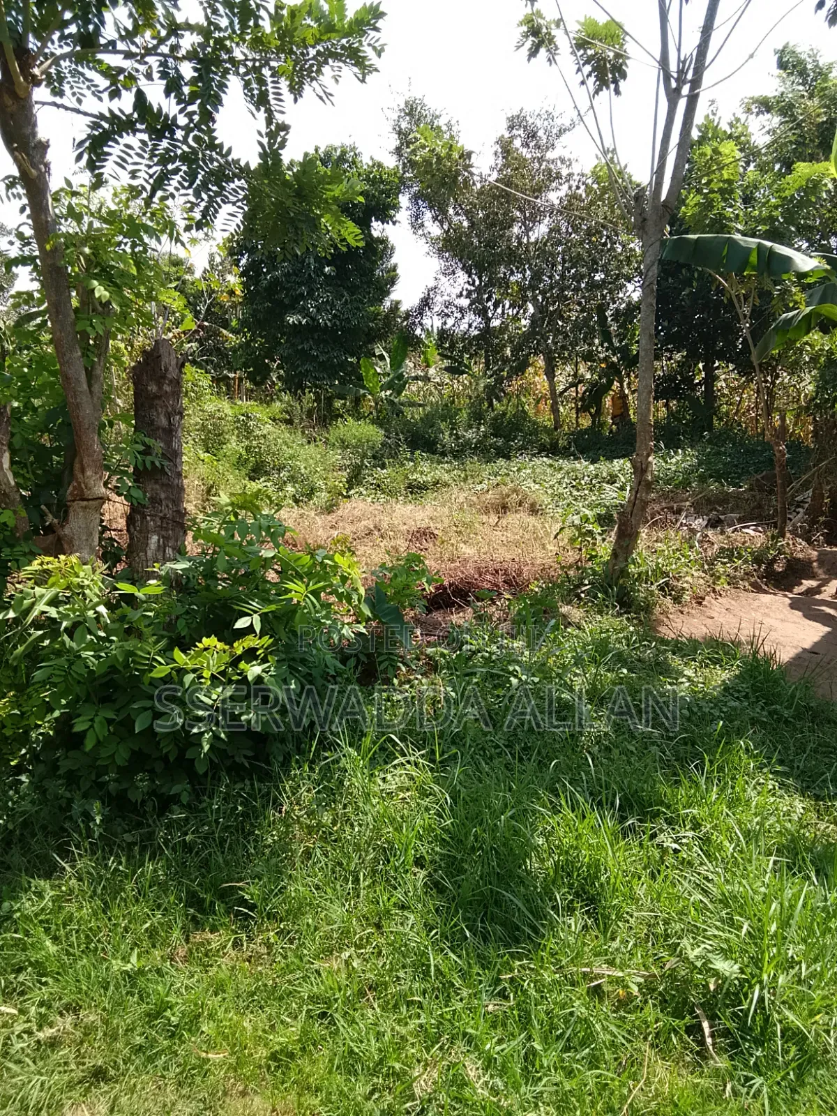 2 Acres in Buyala for Sale