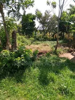 2 Acres in Buyala for Sale