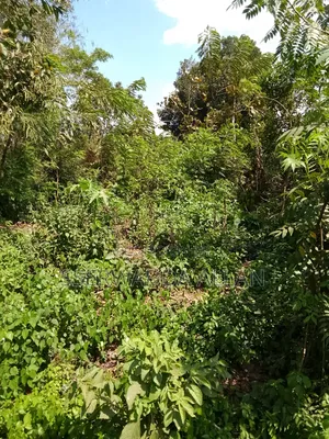 2 Acres in Buyala for Sale
