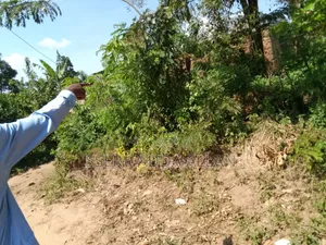 50 X 100ft Plot in Buyala for Sale