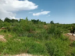 Prime Plot for Sale – Gayaza (Janda Haven Estate)