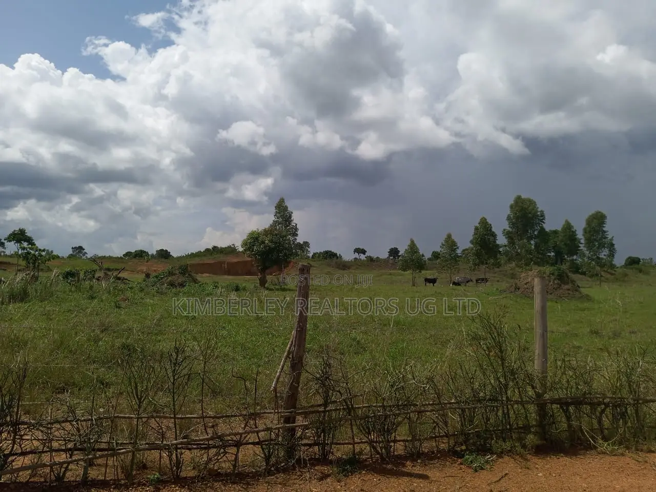 Fertile Agricultural Land For Sale – Zirobwe