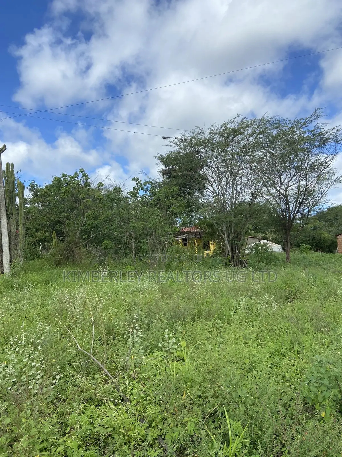 Prime Plot for Sale – Gayaza (Zirobwe Kyetume Estate)