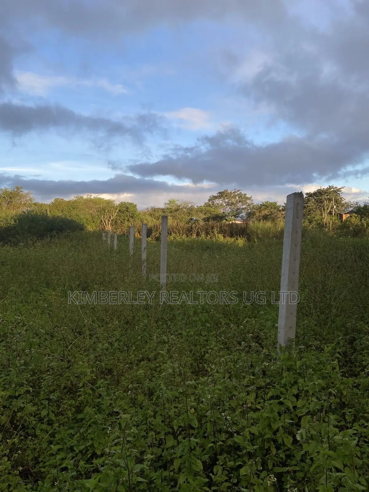 Prime Plot for Sale – Gayaza (Vumba New Hope Estate)