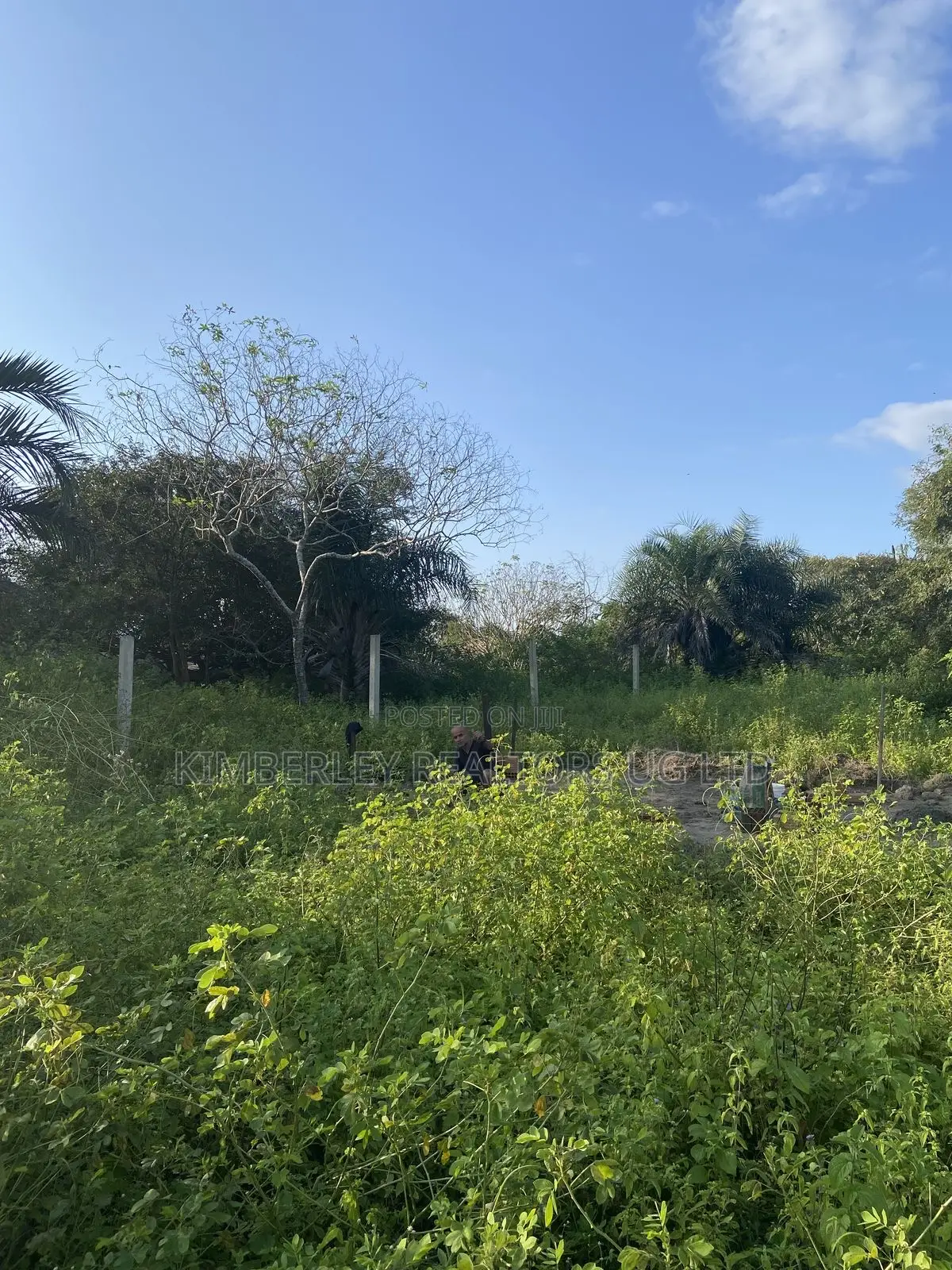 Prime Plot for Sale – Gayaza (Vumba New Hope Estate)