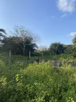Prime Plot for Sale – Gayaza (Vumba New Hope Estate)