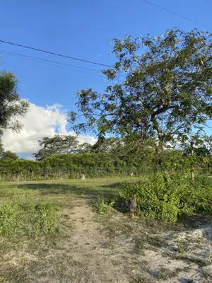 Fertile Agricultural Land For Sale – Zirobwe